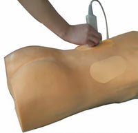 Simulador de Nefroscopia percutánea guiada por ultrasonido rayos X Avanzado