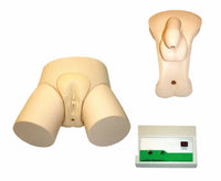 Simulador de Cateterismo Bisexual Monitor Electrónico Avanzado