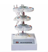 Simulador de lesión medula espinal