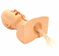 Simulador traqueotomia con bronquios traqueal traquea