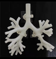 Simulador de entrenamiento de broncoscopia árbol bronquial bronquios