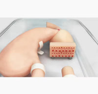 Simulador endoscopia gastro duodenal estomago