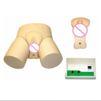 Simulador de Cateterismo Bisexual Monitor Electrónico Avanzado