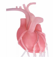 Simulador bypass cardiaco