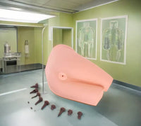 Simulador de examinacion rectal con heces