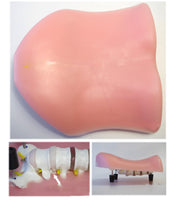 Simulador endoscopia columna humana espalda laparascopia