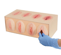 Modelo anatomico de vagina, modelo de comparacion de estanqueidad/estrechez vaginal