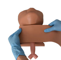 Simulador traqueal de cricotromia traquea