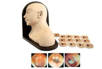 Modelo De Examen De Oido - simuladores medicos