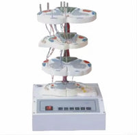 Simulador de lesión medula espinal