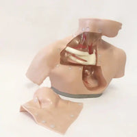 Simulador de enfermería de nutrición parenteral cateterismo venoso central