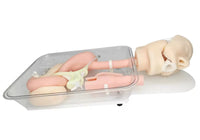 simulador de endoscopia ERCP Cirugía de gastroscopia duodenoscopia