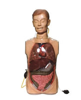 Simulador lavado gastrico medio cuerpo transparente