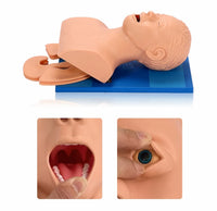 Modelo de intubacion traqueal traqueotomia-Adulto