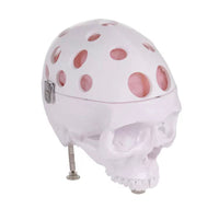 simulador de micro quirúrgica cerebral con Microscopio para entrenamiento cirugía del cerebro