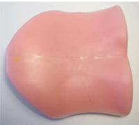 Simulador endoscopia columna humana espalda laparascopia