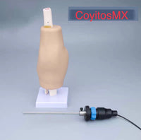 Simulador artroscopia cirugia de rodilla