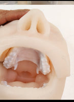 Modelo simulador laparoscopia de entrenamiento endoscopio estomago gastroscopica Completo