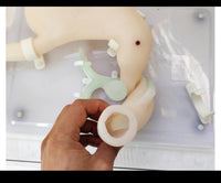 Modelo simulador laparoscopia de entrenamiento endoscopio estomago gastroscopica Completo