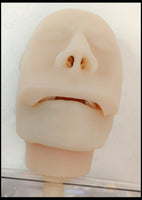 Modelo simulador laparoscopia de entrenamiento endoscopio estomago gastroscopica Completo