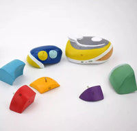 Modelo talamo del cerebro Desmontable seccionado en Colores