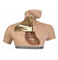 Simulador de enfermería de nutrición parenteral cateterismo venoso central