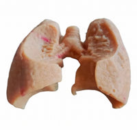 Simulación sutura realista cirugia de organos laparoscopia Kit