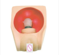 Simulador de entrenamiento anticonceptivo DIU