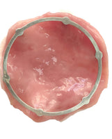 Simulador de Disección submucosa endoscópica ESD endoscopia