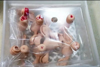 Modelo de lesion uterina uterina de cervix