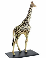 Modelo 4D de jirafa desmontable