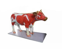 Modelo de Vaca para MVZ Desmontable