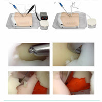 Simulador de espalda columna en tecnologia HD endoscópica UBE cirugía endoscopica lumbar