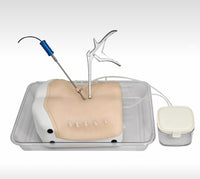 Simulador de espalda columna en tecnologia HD endoscópica UBE cirugía endoscopica lumbar