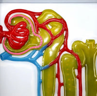 Simulador Urinario formación orina