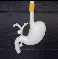 Simulador de gastroscopia CPRE