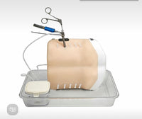Simulador de espalda columna en tecnologia HD endoscópica UBE cirugía endoscopica lumbar