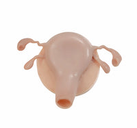 Simulador Uterino histeroscopia utero endoscopia