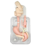 simulador de endoscopia ERCP Cirugía de gastroscopia duodenoscopia