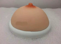 Modelo de exploracion pecho seno mama