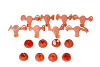 Modelo de lesion uterina uterina de cervix