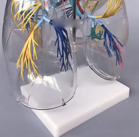 Modelo de segmentacion transparente arbol bronquial de pulmones humanos