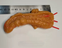Simulación sutura realista cirugia de organos laparoscopia Kit