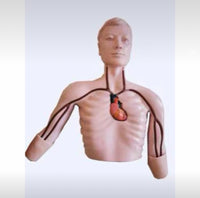 Simulador de cateter central de insercion periférica PICC