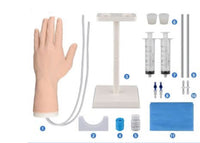 Simulador mano veni puncion venopuncion