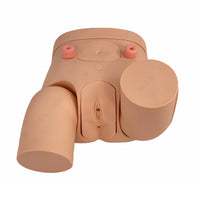 Simulador de cateterismo urinario Bisexual Avanzado