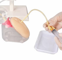 Simulador de cateteriamo urinaria masculino o femenino