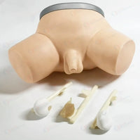 Simulador de examen de próstata urologia