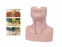 Simulador de traqueostomia tráquea avanzado