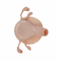 Simulador Uterino histeroscopia utero endoscopia